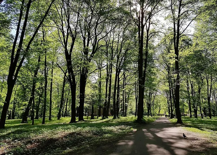 Lovely & Sunny 2 Free Street Parking ريغا