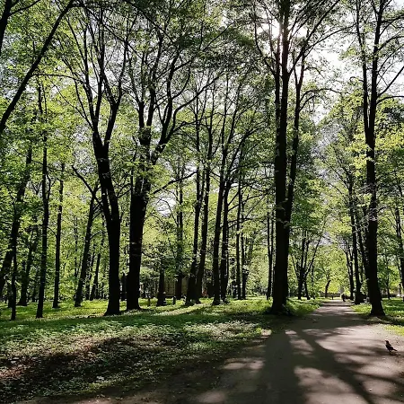 Lovely & Sunny 2 Free Street Parking Ρίγα